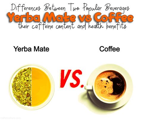 Yerba Mate vs Coffee: Exploring the Differences Between
