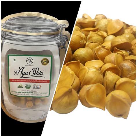 Ayushiv KASHMIRI LEHSUN (ALLIUM SATIVUM) - SNOW MOUNTAIN GARLIC ...