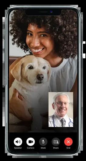 Image result for Chat Screen Java Vet Contacts