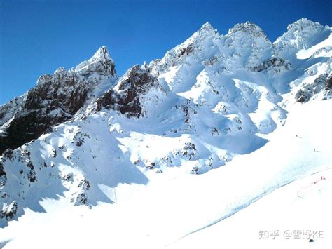 新西兰滑雪 的图像结果