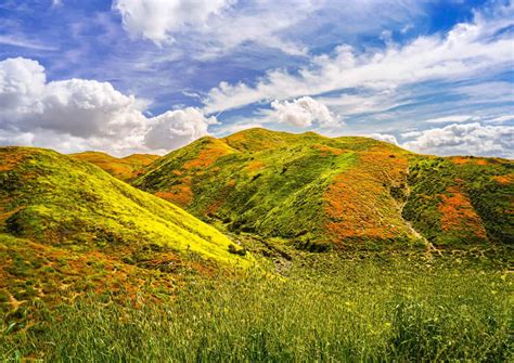 Spring Holiday 的图像结果