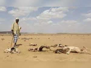 el nino: El Nino expected to return, likely to fuel spike in global ...