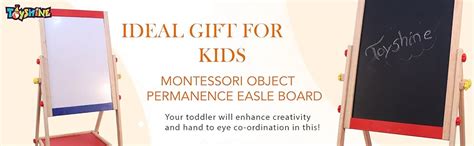 Toyshine Kids 2 in 1 Black/WhiteWooden Easel with Chalkboard and Dry ...