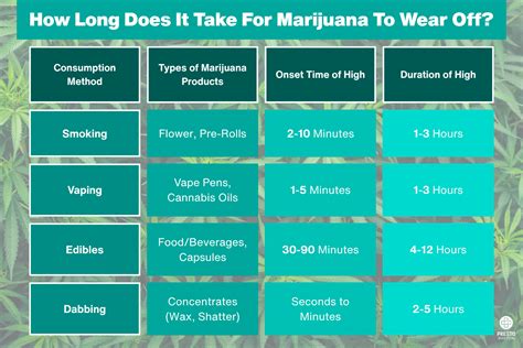 Does Weed Kill Brain Cells? Science On Marijuana the Brain - PrestoDoctor