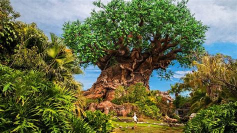 DISNEY'S ANIMAL KINGDOM THEME PARK (2026) All You Need to Know BEFORE ...