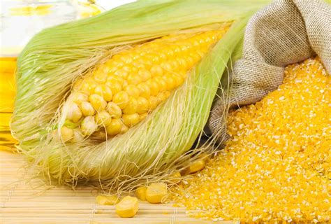 Corn Gluten Meal