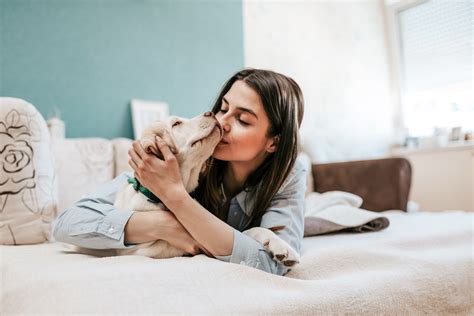 Do Dogs Understand Kisses?