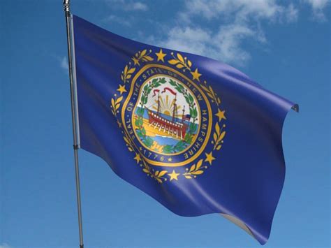 New Hampshire State Flag | Buy New Hampshire State Flag | NWFlags