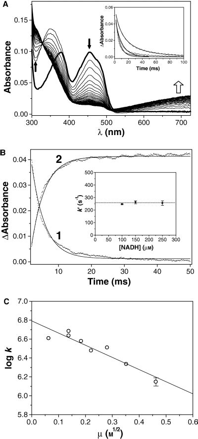Image result for Whisker Plot Python