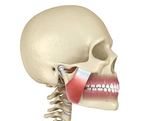 TMJ and Neck Pain - Joint Rehab and Sports Medical Center