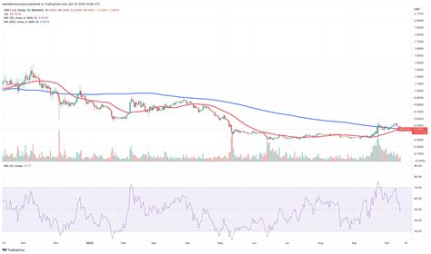 What Happens If Xrp Wins
