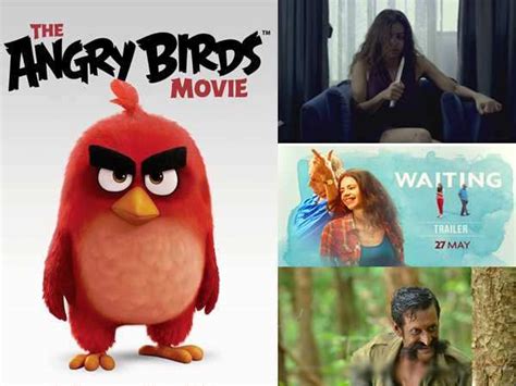 The Angry Birds Movie beats new Bollywood releases | Filmfare.com