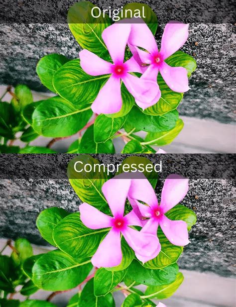 PNG Compression 的图像结果