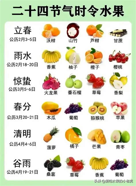 秋天成熟的水果有哪些？10种常见秋季水果-种植技术-中国花木网