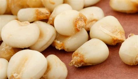 5 Reasons Why Consuming Hominy is Good for Your Health - lifeberrys.com