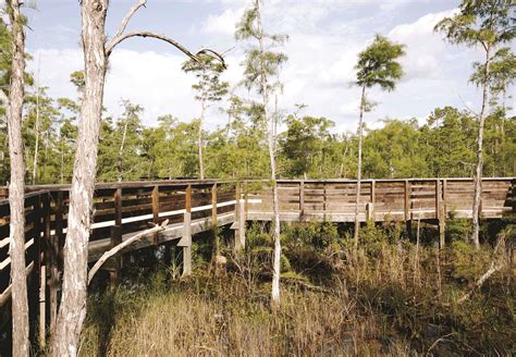North Collier Regional Park | Collier County Parks & Recreation