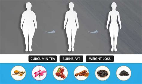 Preserva Wellness Weight Watcher Tea (100 grams) Natural Weight Loss