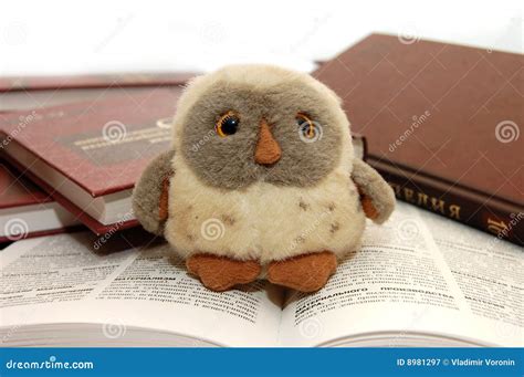 Knowledge Symbol 的图像结果