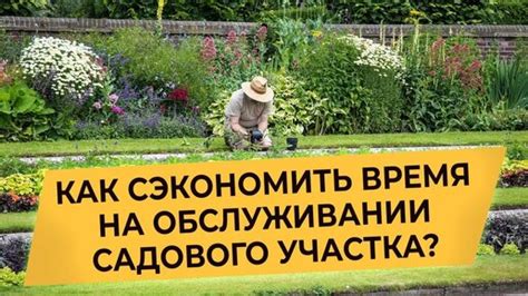 УХОД ЗА УЧАСТКОМ Как Ухаживать За Садом Чтобы Не Терять Время? Уход за ...