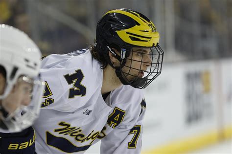Michigan Hockey 的图像结果