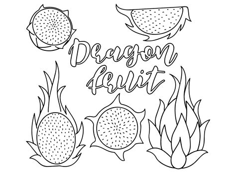 20+ Dragon Fruit Coloring Pages - Free Printable PDF & Online Coloring