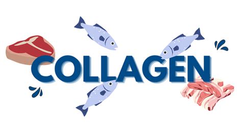 Collagen : Benefits, Types, Sources & Functions – CHOSEN Store