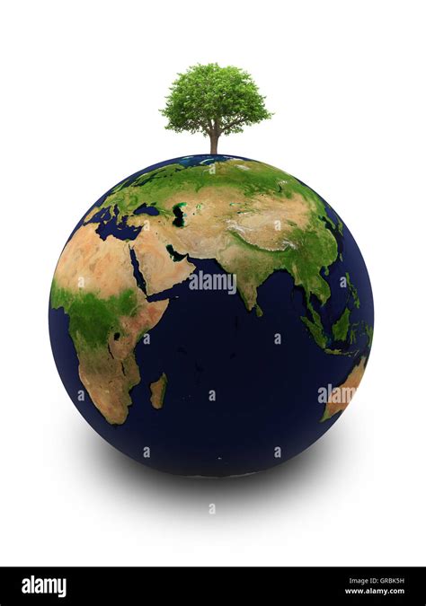 Element Earth Tree 的图像结果
