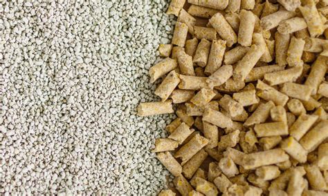 Cat Litter vs. Pellets: What You Need to Know - The LuxCat