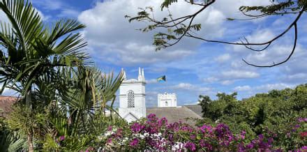 7 Best Tours in Nassau - Hellotickets