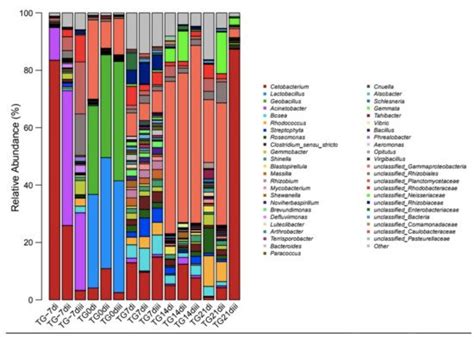 Lacticaseibacillus casei ATCC 393 | Encyclopedia MDPI