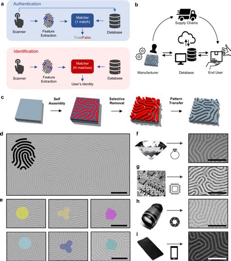 Embedding Vector 的图像结果