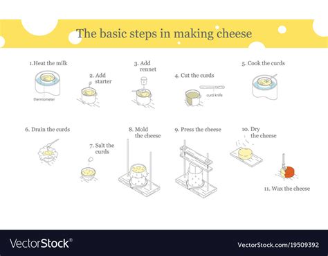 Image result for Cheese Manufacturing Process