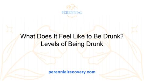 What Does It Feel Like to Be Drunk? Levels of Being Drunk