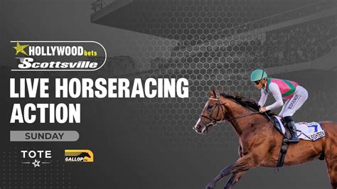 24 AUGUST 2025 - Sunday Race Meeting at Hollywoodbets Scottsville ...