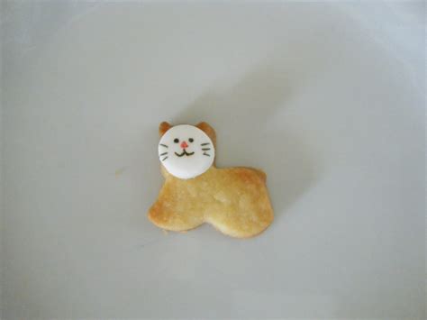 Image result for Cat Chasing Cookies