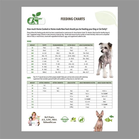 Homemade Dog Food Serving Size Chart: Perfect Portions