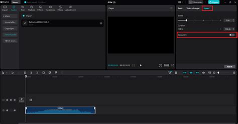 How to Use a YouTube Pitch Changer to Elevate Your Videos?