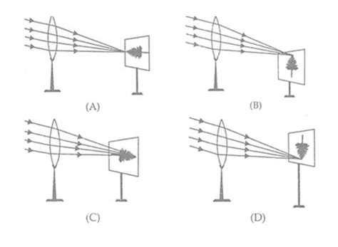 While performing an experiment on determination of focal length of a ...