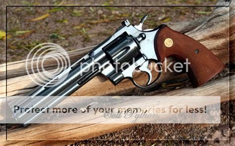 What Year Was the First Colt Python Made 的图像结果