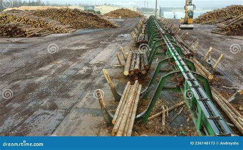 Image result for Wood Sorting System