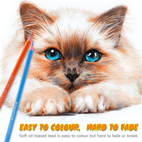 Coloured Pencils Art Set48color Oily Colored Colouring Pencils with ...