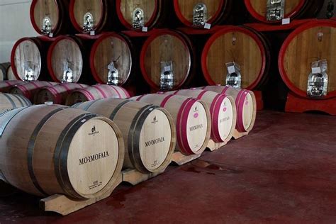 Day Trip to Siena and San Gimignano from Rome with wine tasting ...