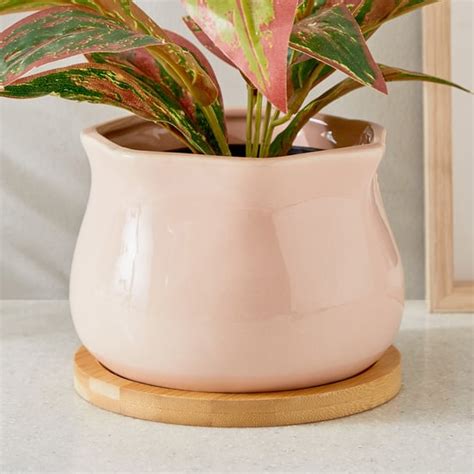 Buy Pots And Planters Online At Low Prices In India - Home Centre