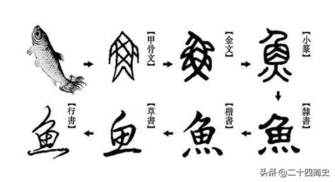 汉字的变化（你知道汉字是如何演变的吗） – 碳资讯