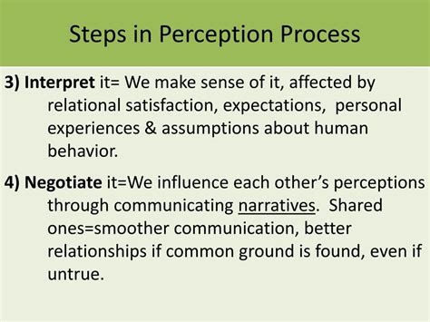 Perception Process Steps Image 的图像结果