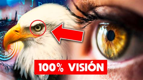 👁 20 20 visión subliminal Visión Perfecta Ojos Sanos Blanqueamiento Ocular SANACIÓN COMPLETA ...