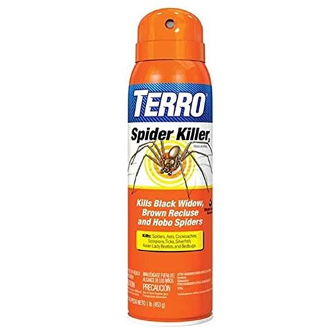 Best Indoor Ant Killer Spray for Your Home