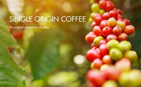 Single Origin Coffee Quality at Walter Mcglothlin blog