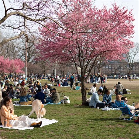 From Art To History: The Ultimate Travel Guide On Brooklyn & Things To Do