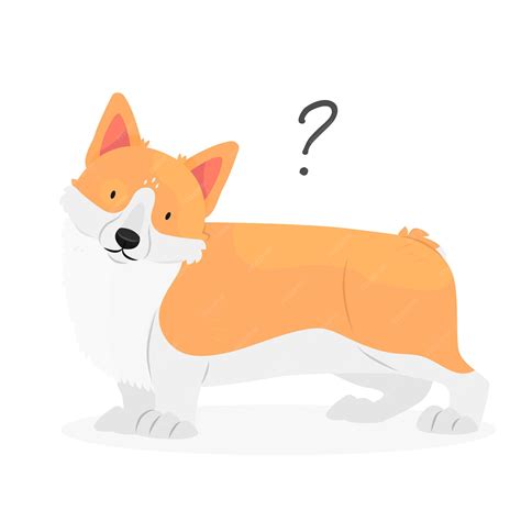 Un chien corgi avec un point d'interrogation Question de chien Un chien ...